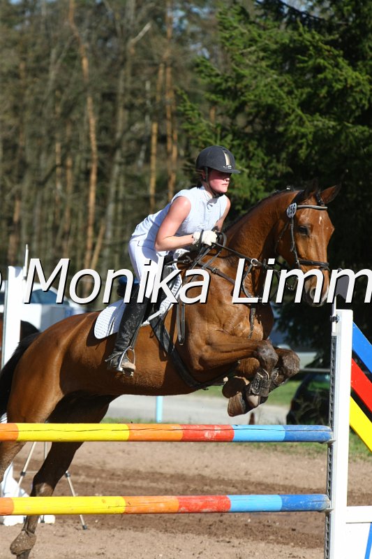 204M8821_Calvin N_Springpferde_L.JPG